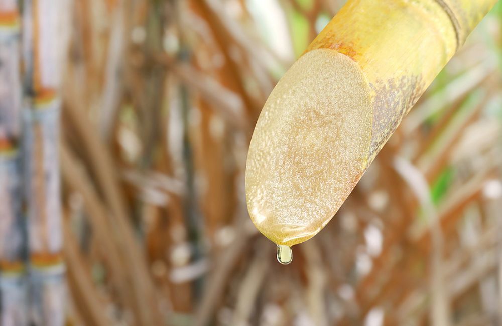 Historická cesta cukrové třtiny z východu na západ